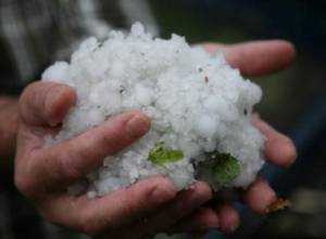 AMD 51 million to Armavir for damage caused by wind and hail