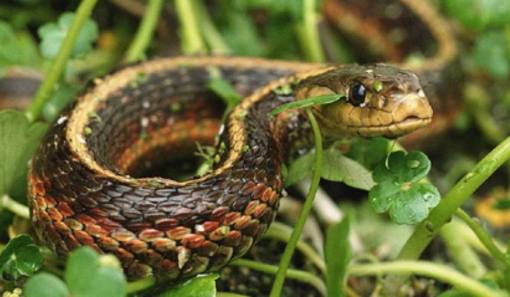 00a2204701d5f11ab0c640cba0f4c36a