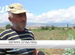 Գյուղացին կարկուտից փրկվելու համար գլուխը առել է ձեռքերի մեջ