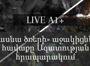 «Սասնա ծռերի» աջակիցների հավաքը Ազատության հրապարակում