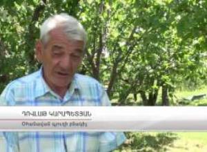 Աշխատանքից հեռացված տնօրենը չի պատրաստվում լքել հայրենիքը