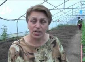 Ջերմոցում միայն կանայք են