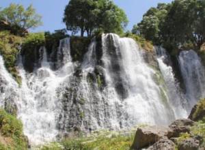Շաքիի ջրվեժի տնօրենը ենթարկվել է 200 հազար դրամ տուգանքի