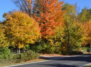 Weather: Sunny days forecast for the next 5 days