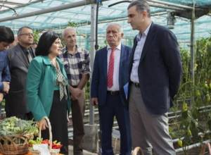 Մարինադներ, մուրաբաներ, աղանդային պահածոներ՝ գիտական կենտրոնում