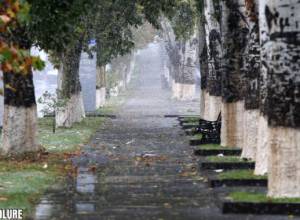 First snow in Yerevan captured in photos