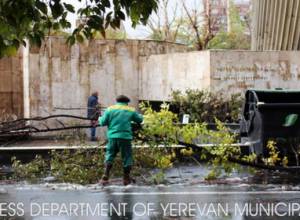 Удаляются ветки, сломанные в результате снега