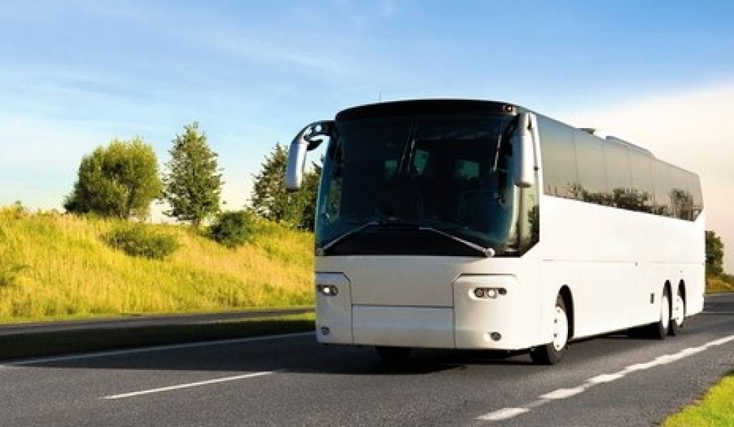 bus
