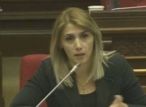 Էլինար Վարդանյանը հակասություն է տեսնում