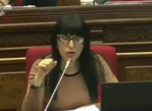 «Ամենամեծ կոռուպցիոները նստած է ոչ թե դալանում, այլ իրենց աշխատասենյակում»
