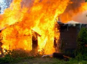 50 куриц и 10 индеек задохнулись от дыма