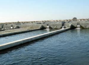 Ձկնաբուծությունը խիստ փոփոխել է Արարատյան արտեզյան ավազանը