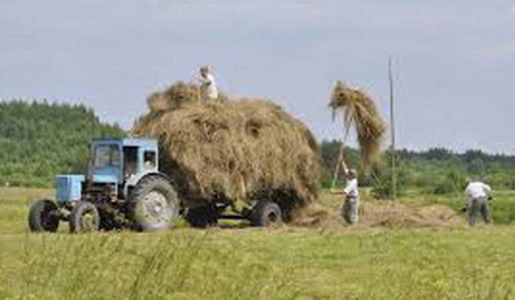 traktor