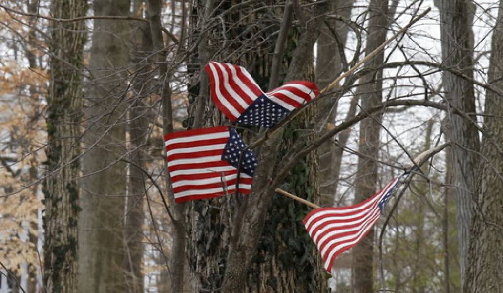 usa
