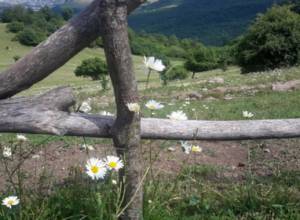 Rain to stop in the second half of Arpil 24