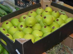 ՀԴԿ-ն դիմում է կառավարությանն ու պահանջում