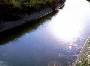 Bodies found in house and canal