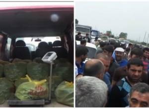 «Սպայկա»-ն պատրաստ է գնել գյուղացու վարունգը, եթե որակով լինի