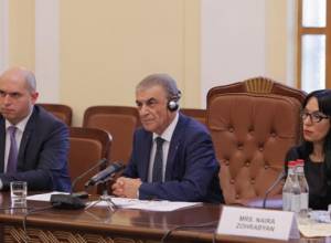 Արմեն Աշոտյանը, «Եդինայա Ռոսիան» և քաղհասարակությունը