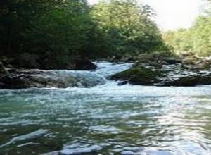 Citizen supposed to have fallen into river