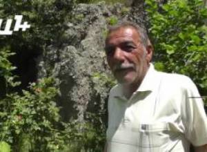 Actor, painter and the garden