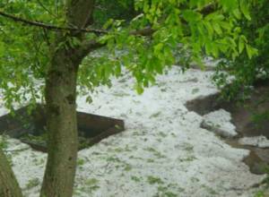 Hail in Tsaghkashat community in Armenia