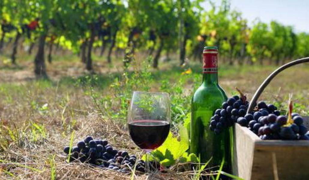 02dbc4ec25549e751ceb9097a43ba825-472x265