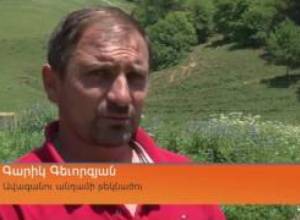 ԿԻՐԱԿԻ.ՏԻՄ ընտրություններ. Գյուղապետ կդառնա նա, ով շատ բարեկամ ունի