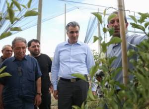 Ծիրանի թզուկ սորտերի վրա կպատվաստվի տեղական ծիրան. այց Արագածոտնի մարզ