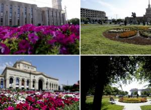 Посчитали – 1,5 миллиона цветов