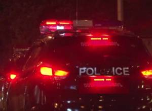 Body tied with metal wires found in gorge