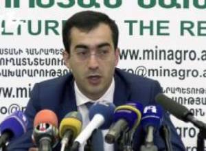 Ռեկորդային քանակի ծիրանի արտահանում է գրանցվել