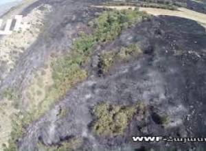 «Ինչպես ասում են՝ մի հիմարի քարի պատճառով»