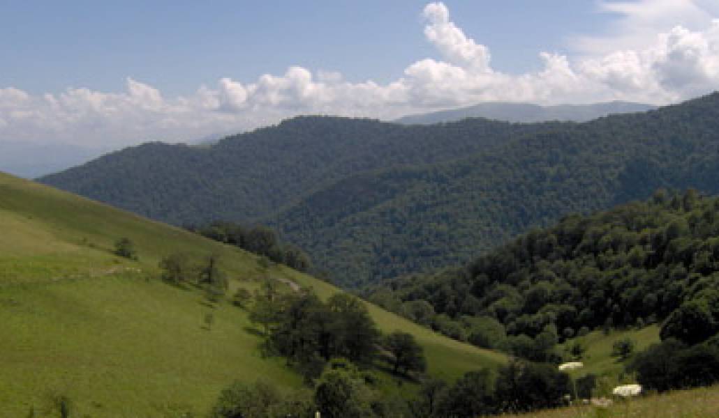 dilijan-national-park_15.11