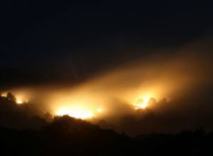 Firefighters continue battling devastating forest fire in Armenia