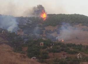 Byurakan fire reaches residential area, engulfs trees and houses
