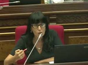Նաիրա Զոհրաբյանի հարցը. «Կոճակը ունենք, մնացել է վերարկուն»
