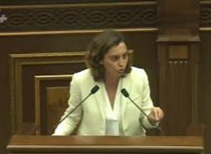 «Ինչու եք օրենքի մեջ գտնում բառեր ու ջնջում»