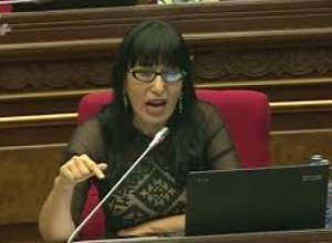 «Կառավարությունն այդպել էլ համարձակություն չունեցավ»