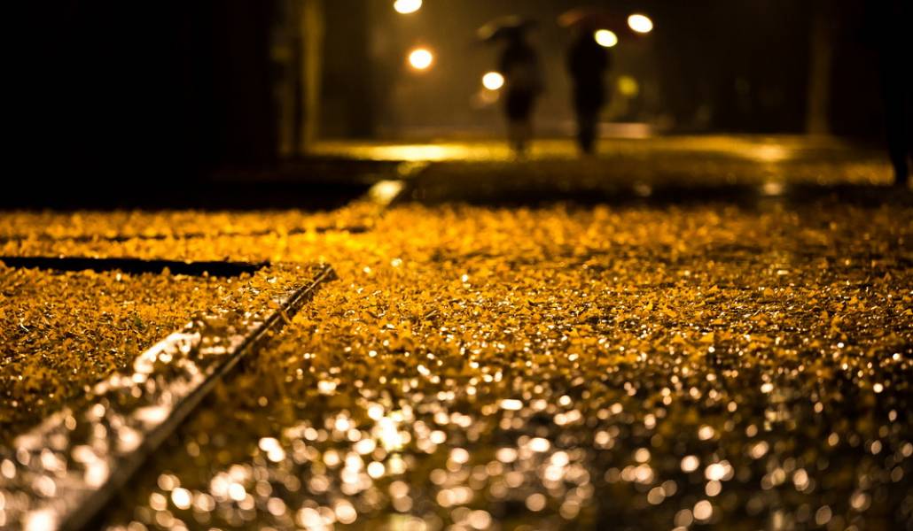 rain