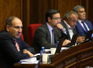 Artashes Geghamyan votes by mistake: Yelk proposal prejected