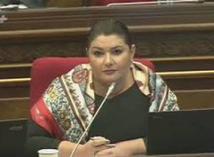 Սպանված անգղների գործով կհարուցվի քրեական գործ. Արծվիկ Մինասյան