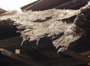 House built of sand collapses