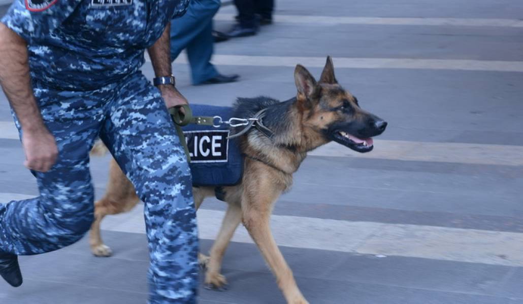 police-dog