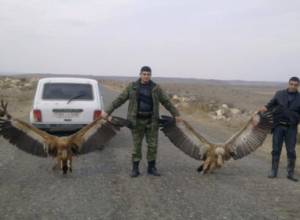 «Նրան ուզում ենք պատդերժկա անենք». ՀՀԿ-ական գյուղապետի կոլեկտիվը ակցիա է անելու. Առավոտ