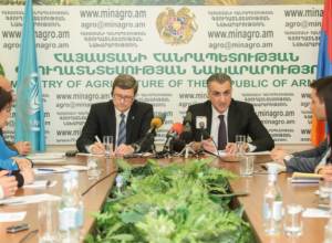 Աշխարհում 38 մլն-ով ավելացել է թերսնվողների թիվը` կազմելով 815 մլն