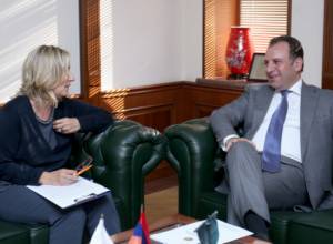 RA Defense Minister receives the Head of the Delegation of the International Committee of the Red Cross