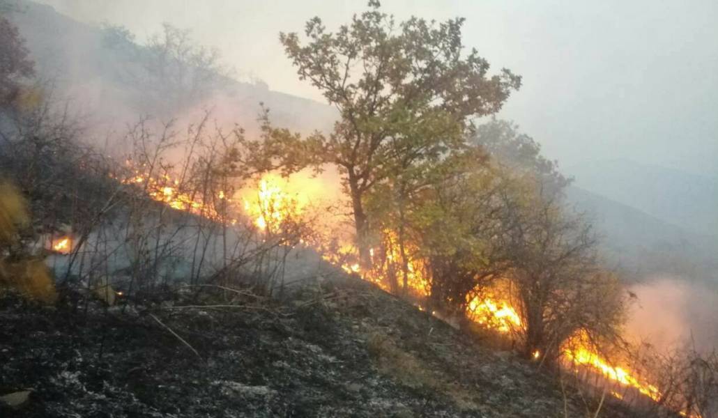 22850419_10211037926123577_1294136266_o