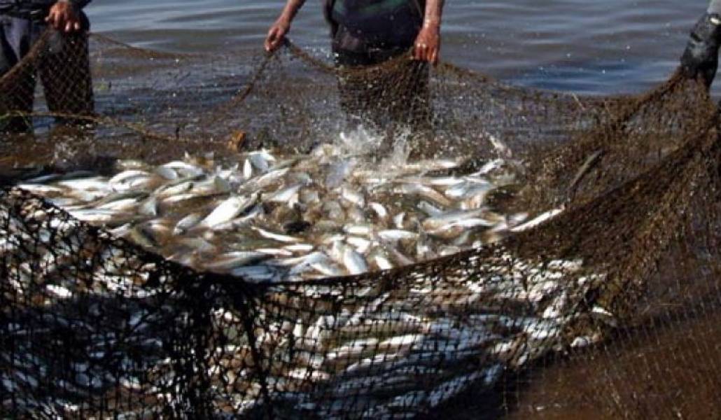 c6cee10c96779025233be0e8825079e2