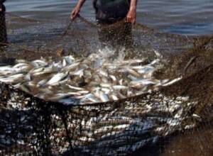 Worries about the lost resources